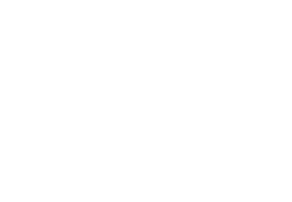 FC Wald